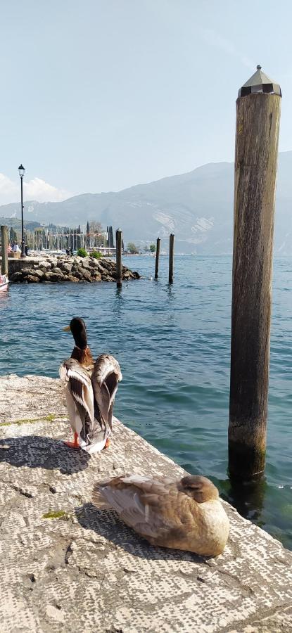 Riva Del Garda Nest Daire Dış mekan fotoğraf